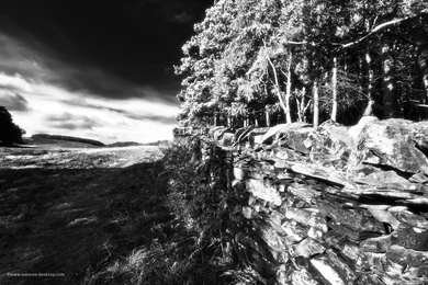 High Contrast Black And White Desktop Wallpapers