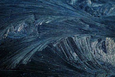 Top How Cold For Frost Images For Pinterest