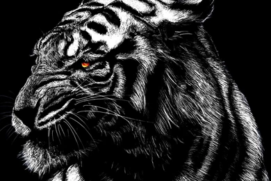 Tiger Male Animal Lion Snow Leopard Art Cat