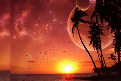 P C Wallpapers To Download_hd Wallpaper_download Free Wallpapers