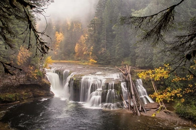 Download Wallpapers 1920x1080 Forest, River, Waterfall, Nature ...