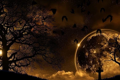 Download Wallpapers 1920x1080 Trees, Nature, Night, Planet, Birds ...