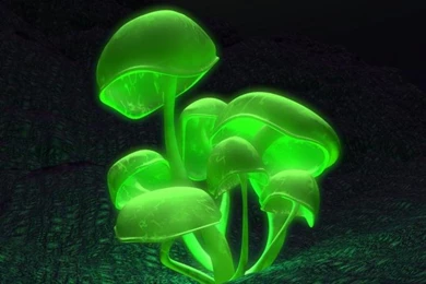 3D Black Green Wallpapers   Download