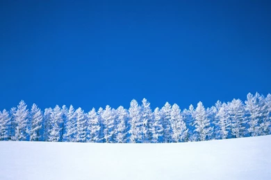 Snow Wallpapers Hd Wallpapers   58466