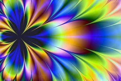 Bright Flower Fractal Wallpapers