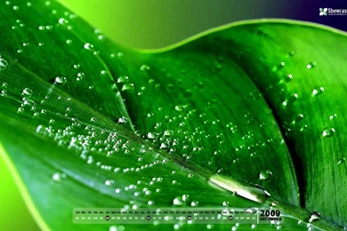 1440x900   Desktop Wallpapers