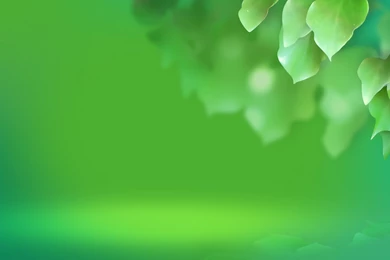 Green Backgrounds HD Wallpapers   HD Wallpaper Backgrounds Of Your ...