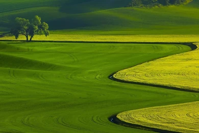 Landscape Green