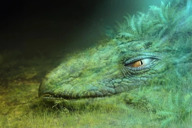 Desktop Wallpapers · Gallery · 3D Art · Green Dragon