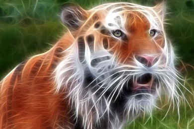 Download Wallpapers 1920x1080 Tiger, Face, Light, Line, Glow Full ...