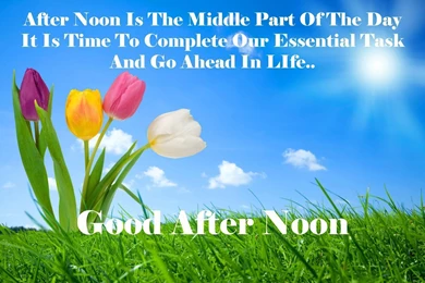 Good Afternoon Wallpapers   Wallmanage.com