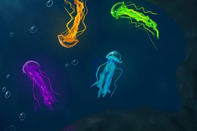 Jellyfish Backgrounds By DeceptiveShadow On DeviantArt