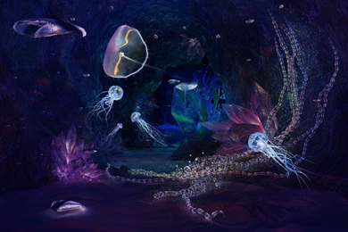 Magical Animals Horses Horse Jellyfish Fire Underwater Magic ...