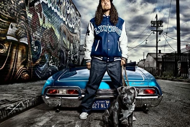 Music Graffiti Wallpapers