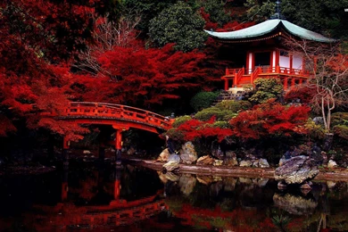 Autumn In The Japanese Garden Wallpapers