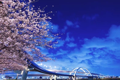 Download Wallpapers 1920x1080 Japan, Hokkaido, Bridge, Sakura Full ...