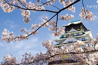 Download Wallpapers 1920x1080 Spring, Cherry, Blossom, Palace ...