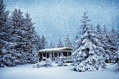 Christmas Wallpapers