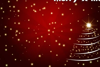 Download Wallpapers 1920x1080 Christmas Tree, Stars, Backgrounds ...