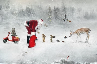 Christmas Magic   1920 X 1080 HDTV 1080p Wallpapers   Wallpapers Gallery