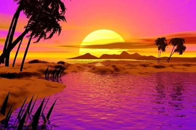 10 Best Animated Beach Desktop Wallpapers For Summer