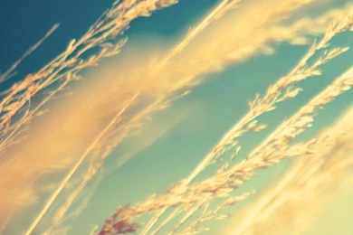 City View River Lake Blue Sunset Nature iPhone 4s Wallpapers ...