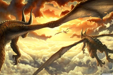 Dragons HD Desktop Wallpapers : High Definition : Fullscreen : Mobile
