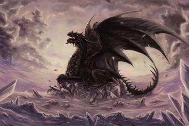 Green Dragon Desktop Wallpapers 22452