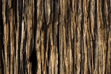 Download Wallpapers 750x1334 Bark, Wood, Background, Texture iPhone ...