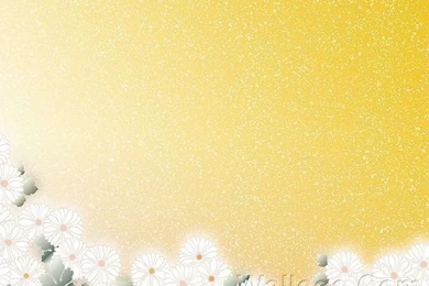 Graphic Flowers, HD Flower Patterns (1920+1600 ) 17   Wallcoo.net