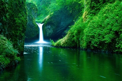 Beautiful Nature Wallpapers With Trees And Grass