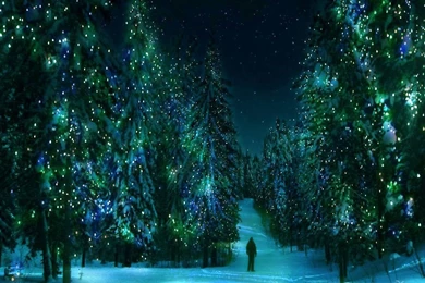 Wonderful Winter Night Wallpapers