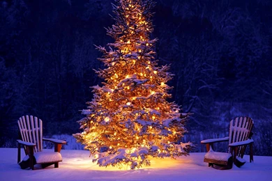 Winter Holiday Now Forest   Christmas, Holidays   Wallpapers