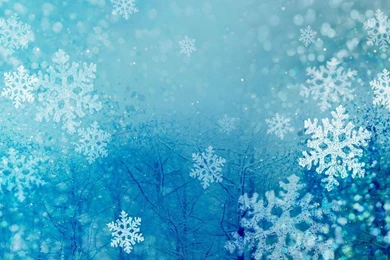 Christmas Winter   Free Large Images