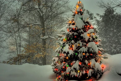 Download Wallpapers 3840x2400 Tree, Garland, New Year, Christmas ...