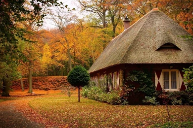 Beautiful Home Wallpapers Autumn Leaves And Beautiful Home ...