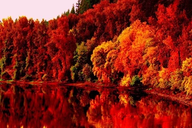 Autumn Nature Wallpapers HD Pictures