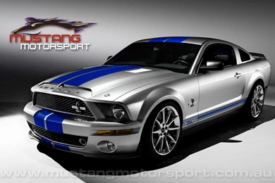 Ford Mustang Gt 500 Shelby Wallpapers   13234