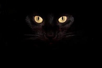 Wallpapers Roundup: All Hallow's Eve And Spooky Scenes Technology ...