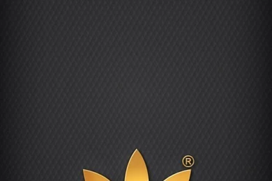Golden Adidas On Grey Background.