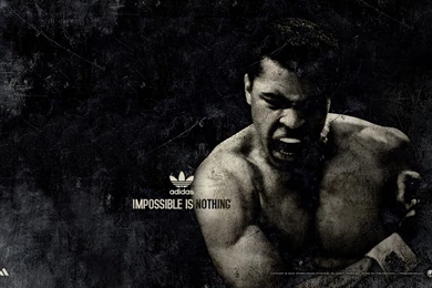 Download Wallpapers 2560x1600 Muhammad Ali, Boxer, Sports, Adidas ...