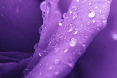 Wallpapers Samsung Galaxy A3 540 960 Awesome Hi Quality