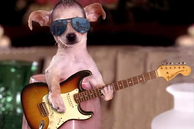 Cool Guitar Star Uhd Wallpapers   Ultra High Definition Wallpapers ...