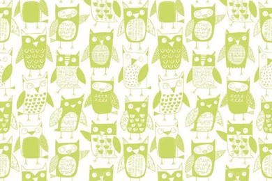 Loboloup 15' X 27" Owls Wallpapers