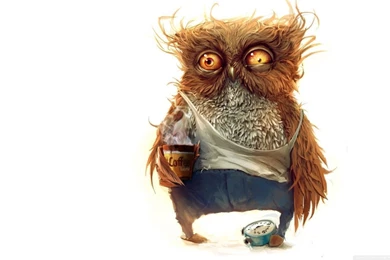 Hobo Owl HD Desktop Wallpapers : High Definition : Fullscreen : Mobile