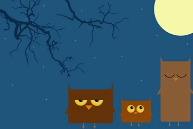 Owls Wallpapers By Sereg Run On DeviantArt