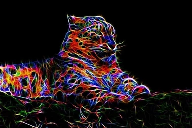 Best Leopard Wallpapers STAY004