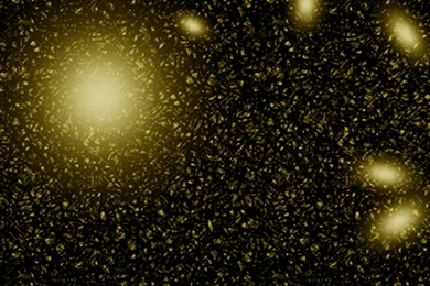 Pattern Black Yellow