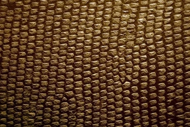 Download Wallpapers 750x1334 Skin, Snake, Black, Yellow iPhone 6 HD ...