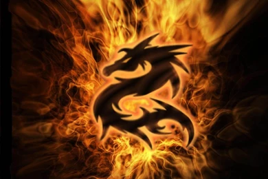 Dragon Wallpapers   Best Car 2015